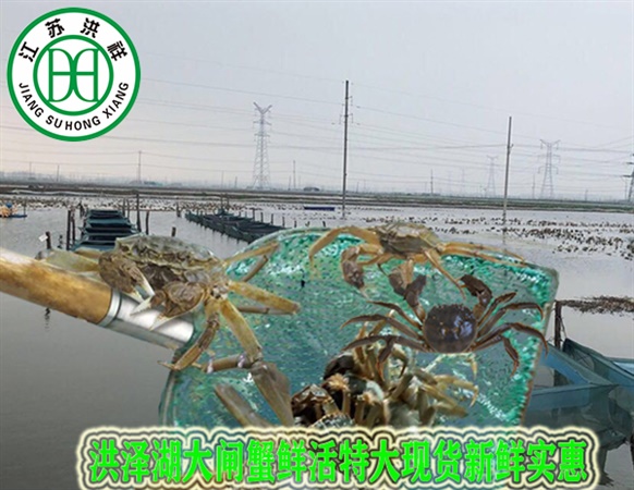 FH-300B高精度數(shù)控線切割機(jī)床